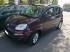 Immagine Fiat Panda  1.2 GPL